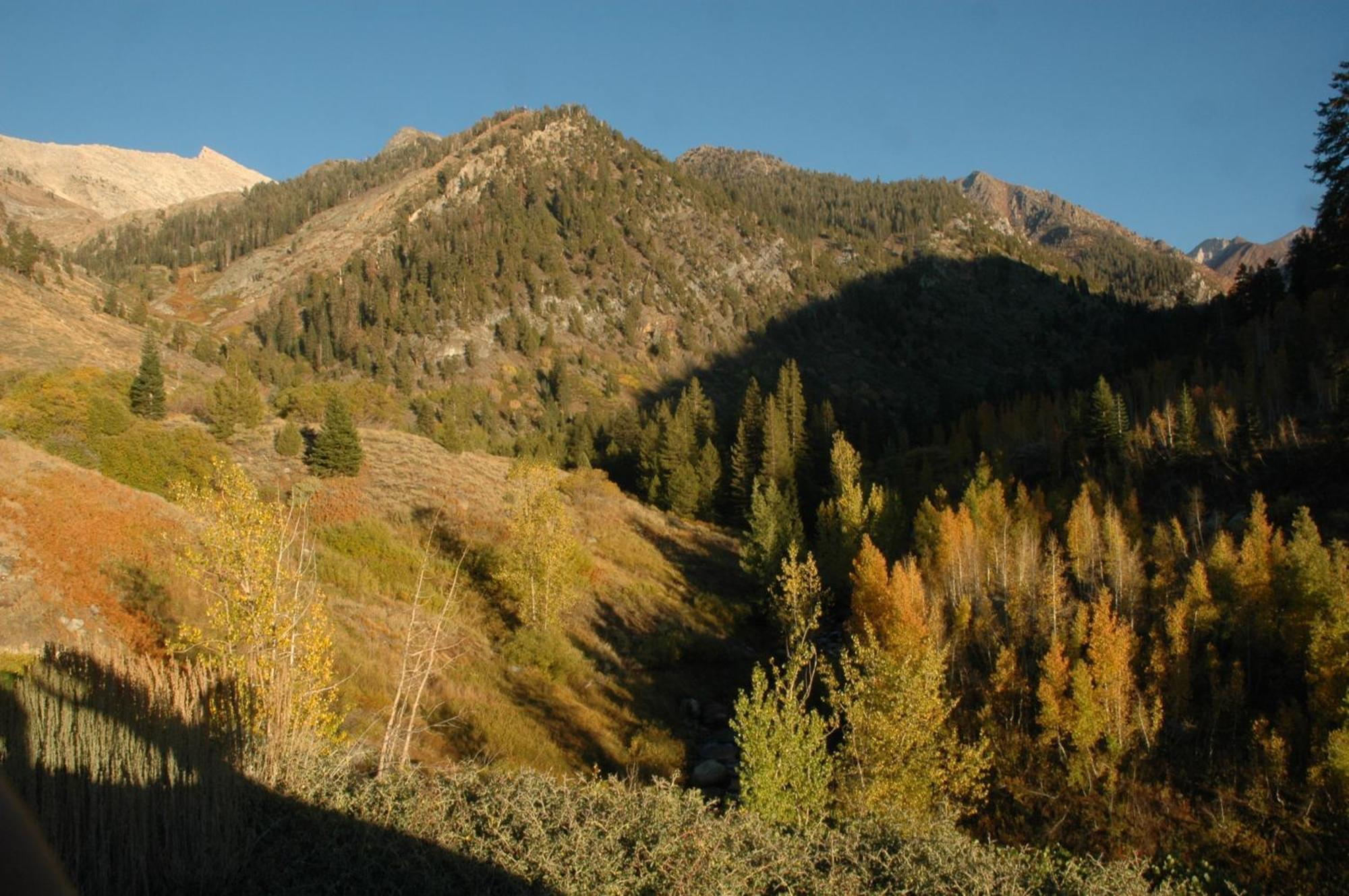 Silver City Mountain Resort Three Rivers Eksteriør billede